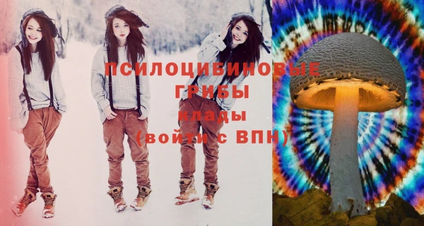 эйфоретик Новодвинск