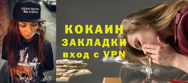 СК Новозыбков