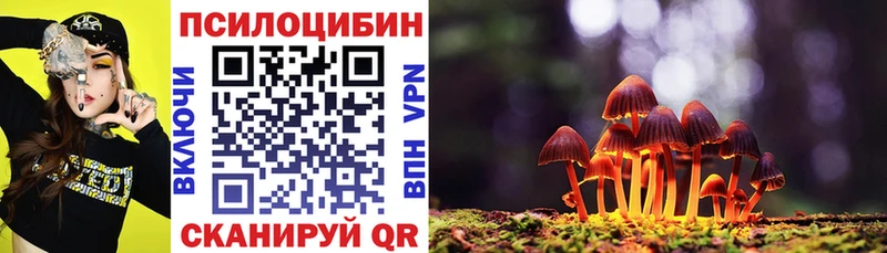 shop телеграм  Беломорск  Галлюциногенные грибы GOLDEN TEACHER 